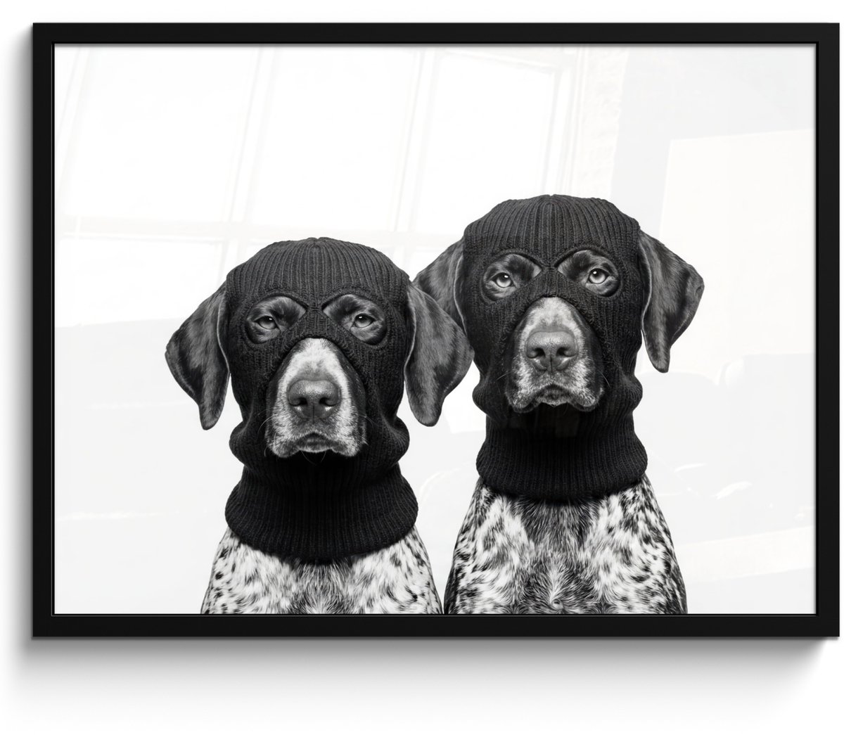 FrameYourWall Poster in lijst - Fotolijst 70x50 cm - Posters - Honden - Bivakmuts - Zwart - wit - Posterlijst zwart - Decoratie - Wanddecoratie woonkamer - Muurdecoratie slaapkamer