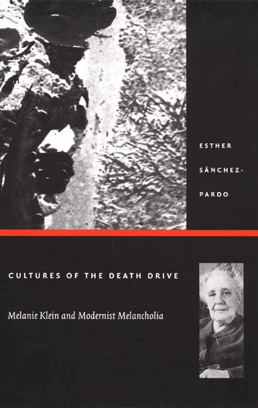 Cultures of the Death Drive - cover