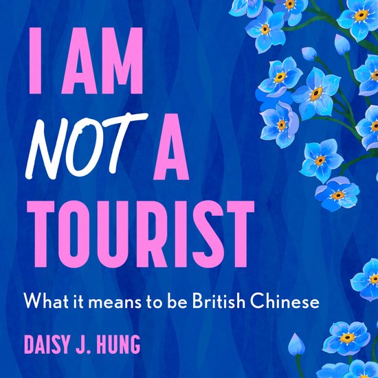 I Am Not a Tourist - cover
