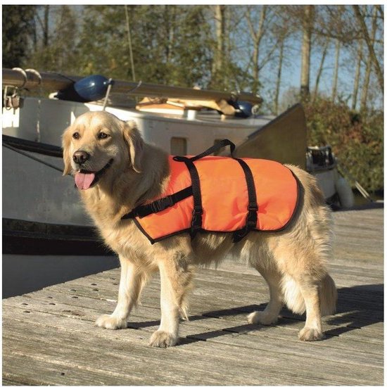 Alsjeblieft kijk Melodieus anders Veiligheidsvest zwemvest voor honden - Maat S | bol.com