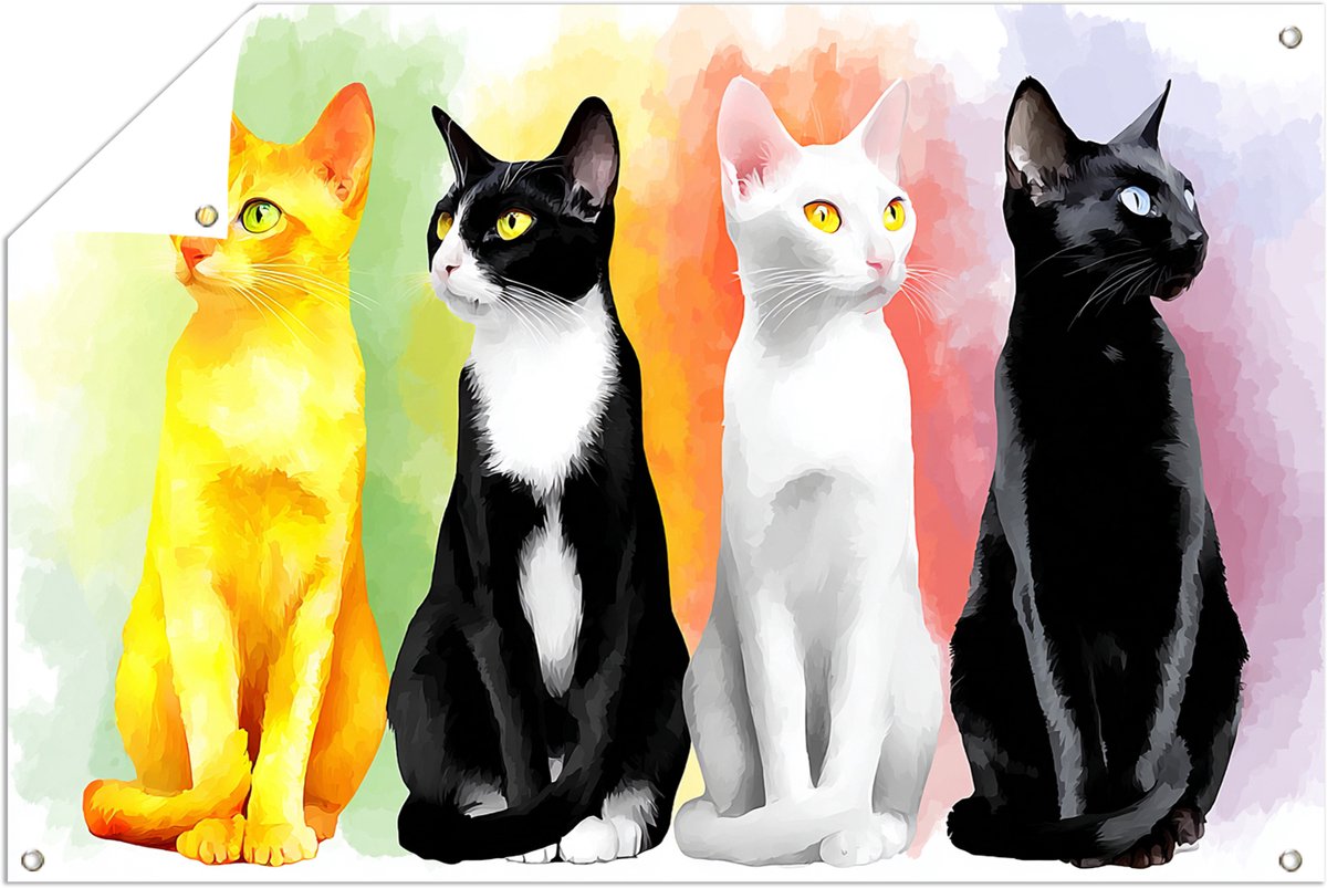 Vier katten - Kleurrijk - Grafisch - Tuinposter - 90x60 cm