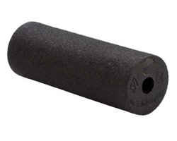 Blackroll Blackroll Mini Foam Roller 15 cm - Lichtgewicht / Zwart