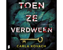 Omslag van Toen ze verdween