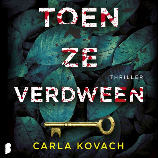 Toen ze verdween - cover
