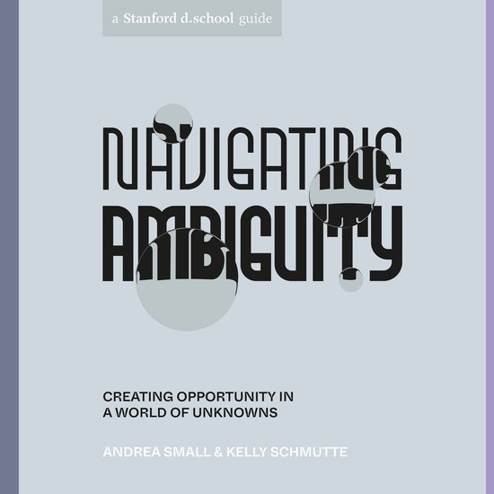 Navigating Ambiguity - cover