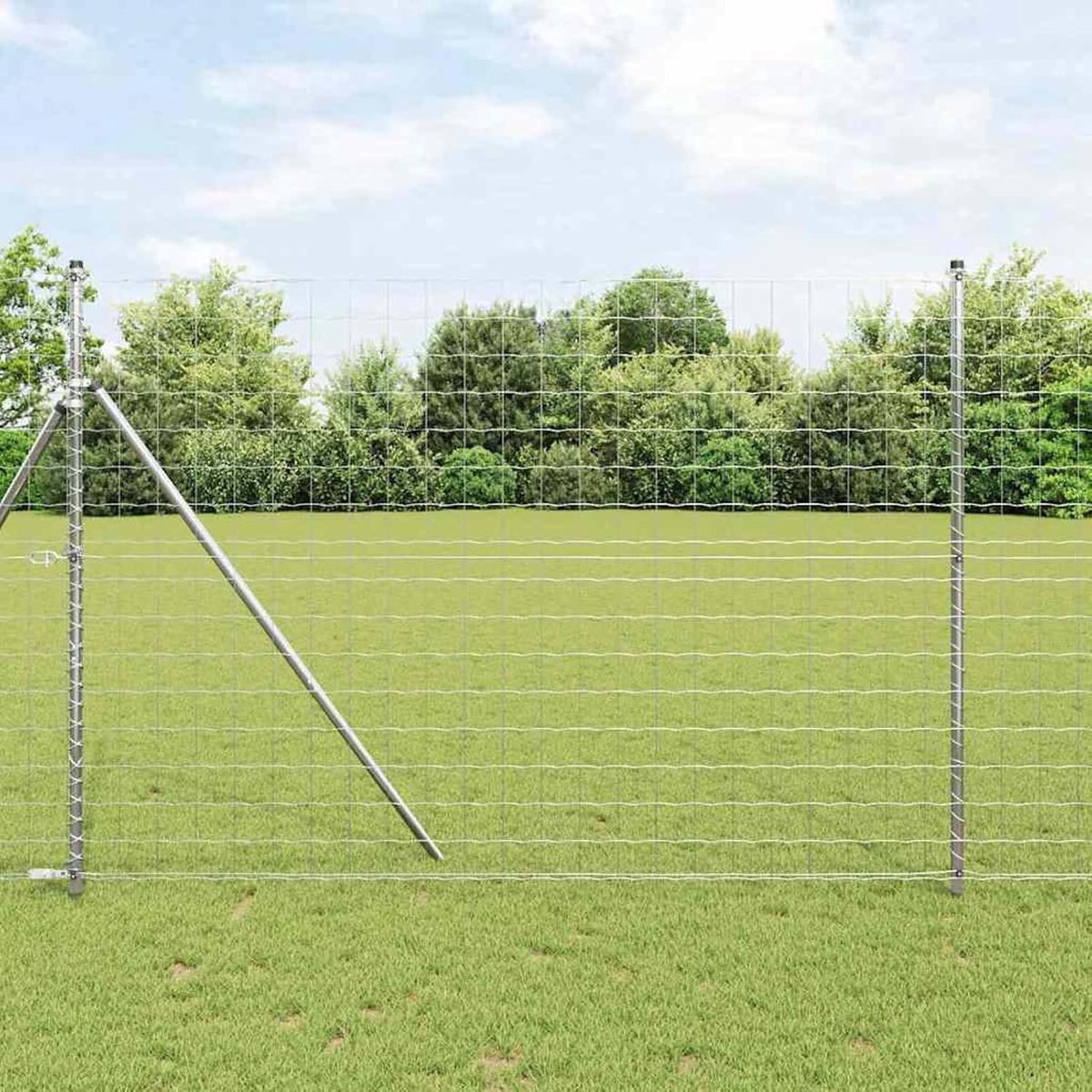 Tuinhek Staal - Draadomheining Gaas - Dieren Verblijf - Thermisch Verzinkt - 1000 x 160 cm