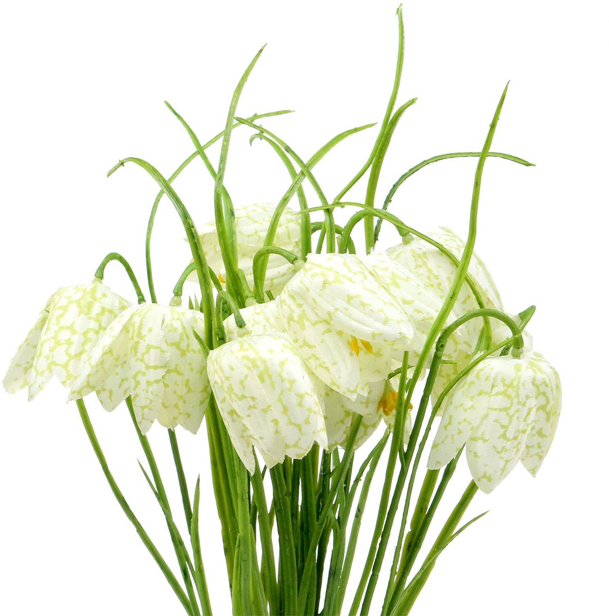 Viana Schaakbordbloemen Fritillaria kunstwit, groen 40cm 12 st, 12 Stück