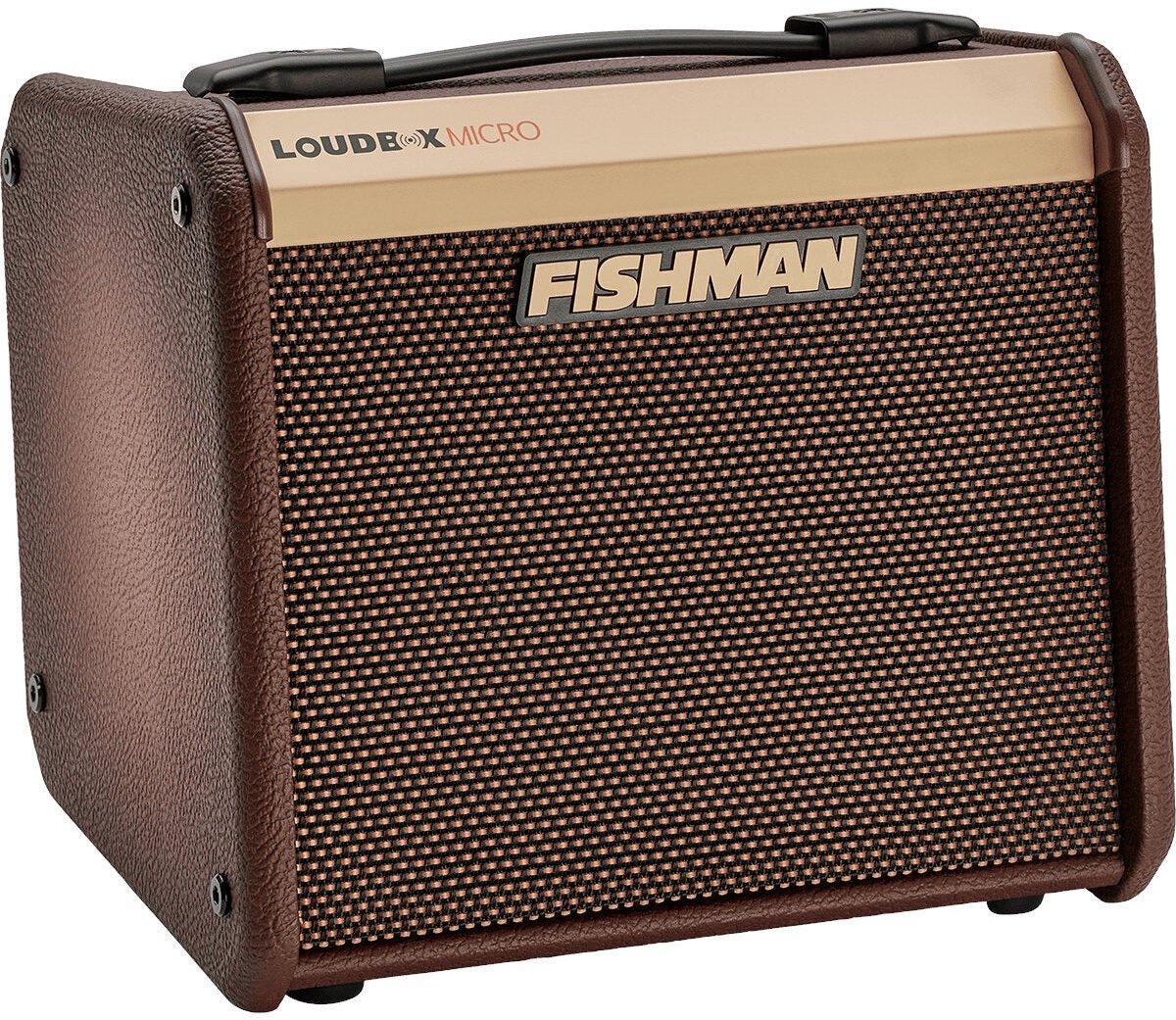 Fishman PRO-LBT-400 Loudbox Micro 40W akoestische gitaarversterker