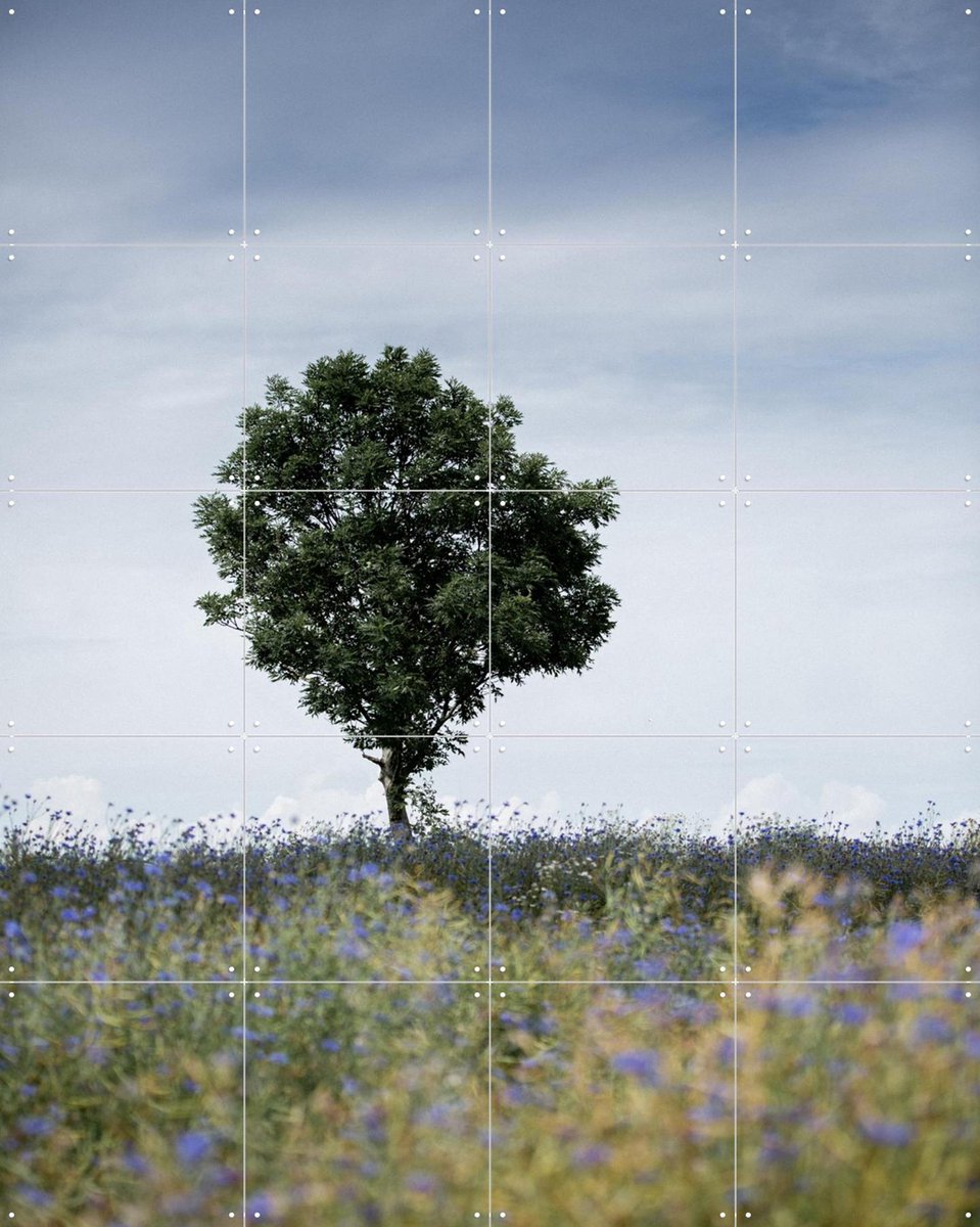 IXXI Summer Meadow, Mareike Böhmer - 80 x 100 cm - Gratis ophangtool - Grote wanddecoratie en posters - Fotografie, Kleurrijk, Natuur, Zomer