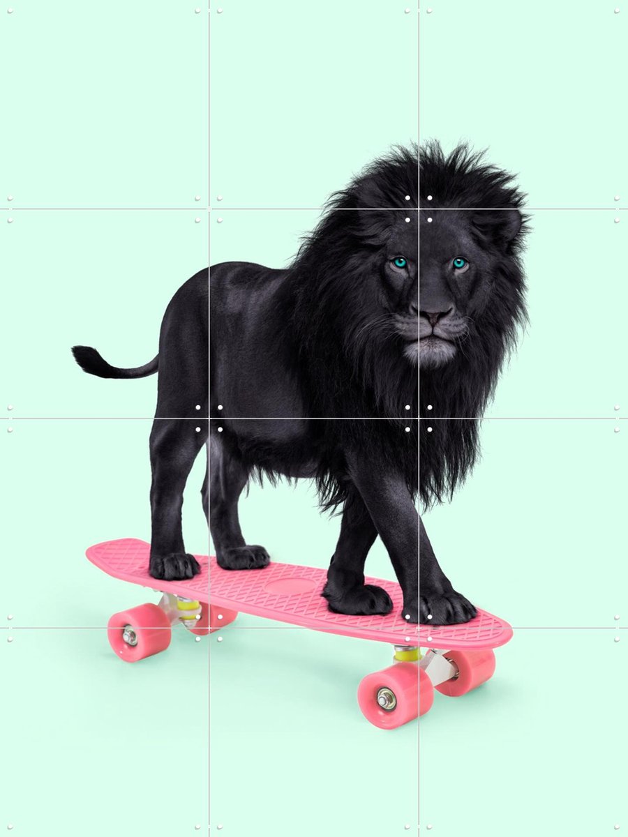 IXXI Skate Lion, Paul Fuentes - 60 x 80 cm - Gratis ophangtool - Grote wanddecoratie en posters - Kleurrijk, Speels, Fotografie, Kinderkamer, Wilde