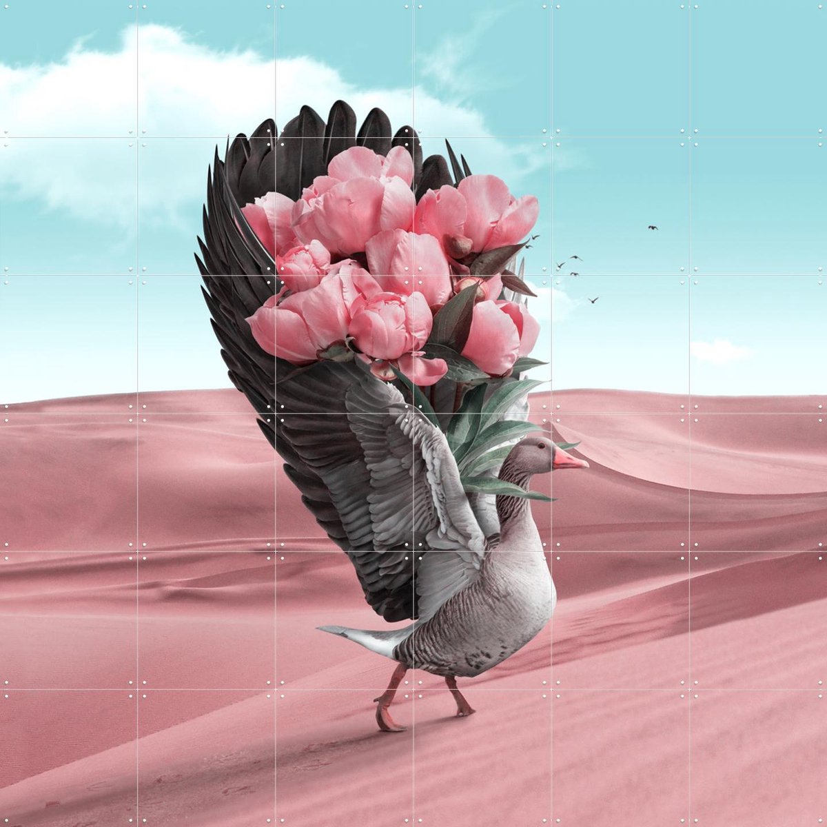 IXXI Say Sorry, Julien Tabet - 120 x 120 cm - Gratis ophangtool - Grote wanddecoratie en posters - Fotografie, Vogels