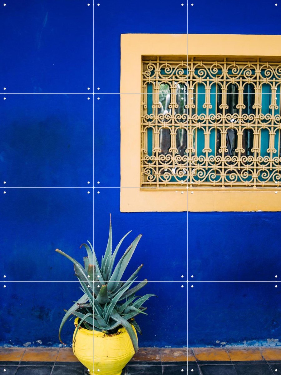 IXXI Yellow and Blue Agave, Pati Photography - 60 x 80 cm - Gratis ophangtool - Grote wanddecoratie en posters - Fotografie, Kleurrijk, Botanisch