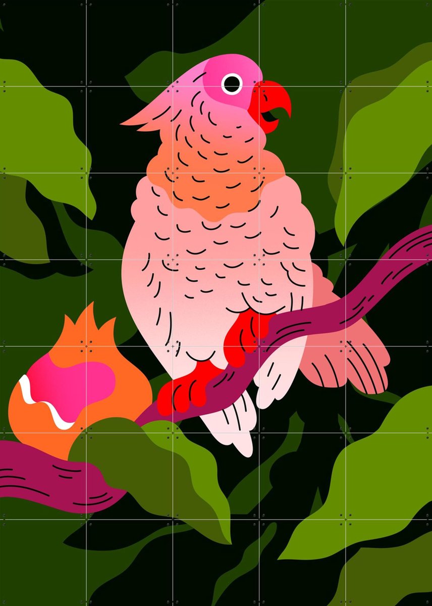 IXXI Cockatoo with Pomegranate, Hedof & Rijksmuseum 2.0 - 100 x 140 cm - Gratis ophangtool - Grote wanddecoratie en posters - Digitale Kunst