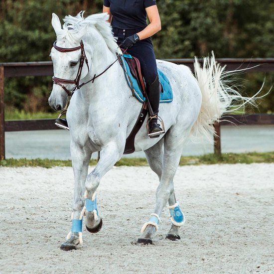Hoofdstel met Teugels voor Paarden - Hoogwaardig Leer en Comfort Fit