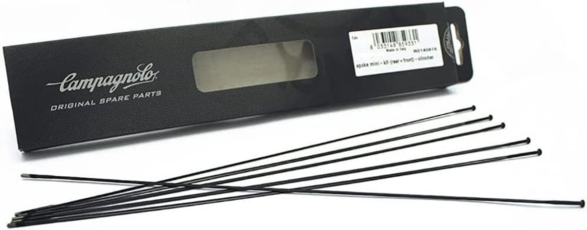 Draagbare Mini Radio FM/AM met Helder Geluid