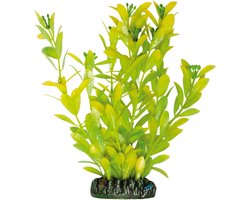 Kunstplant voor aquarium Hygrophila Polysperma Groen