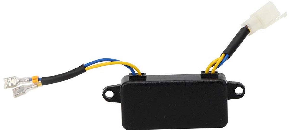 Universele Spanningsregelaar voor Generatoren tot 3kW - 250V 220UF