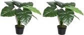 2x Groene Colocasia/taro kunstplant 52 cm in zwarte pot - Kunstplanten/nepplanten - Kantoorplanten