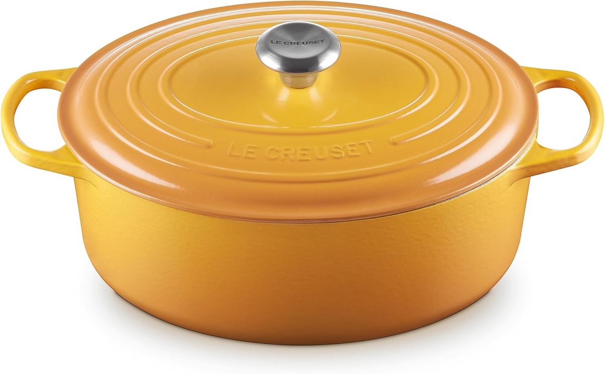 Ovale Braadpan van Geëmailleerd Gietijzer 31 cm 6.3 Liter