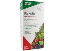 Salus Floradix IJzer-elixir - Mineralen - Bij vermoeidheid - Met ijzer en vitamine B12 - 500 ml