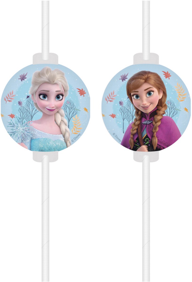 Disney Frozen Idyllic Wonder papieren rietjesset van 4 FSC