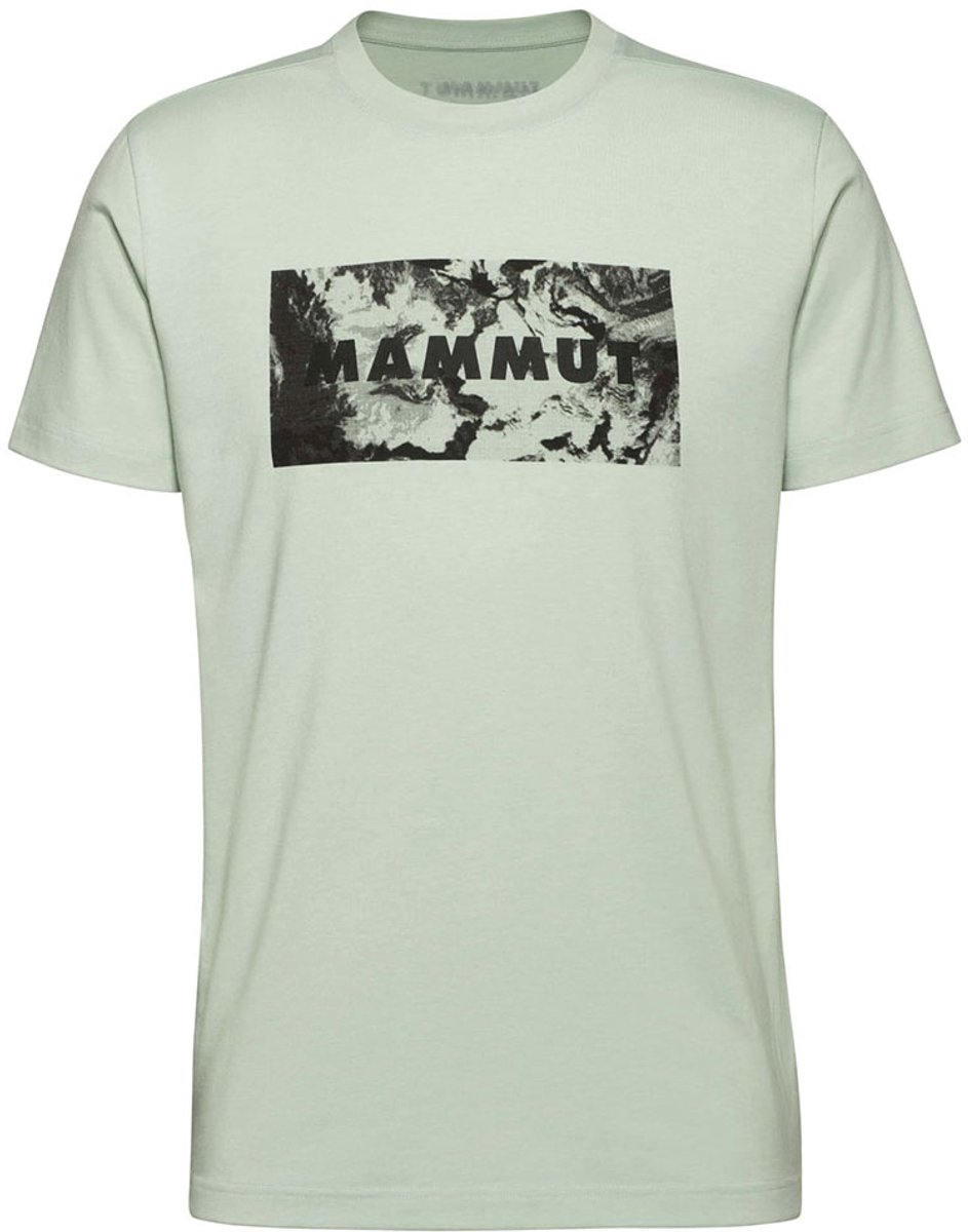 Mammut Trovat Logo T-shirt Met Korte Mouwen Man Zilver