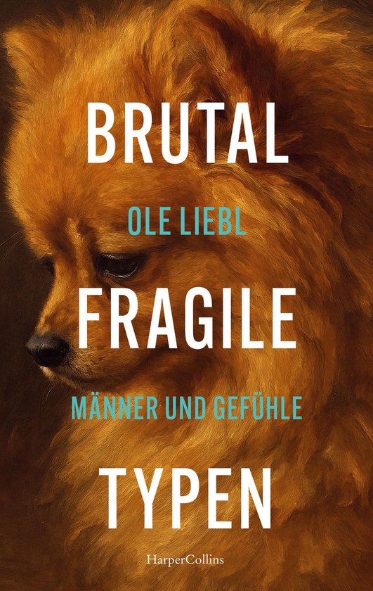 Brutal fragile Typen. Männer und Gefühle - cover