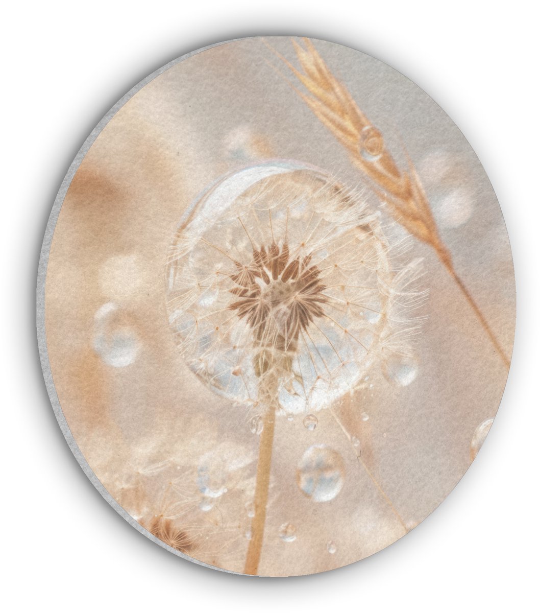 Akoestisch wandpaneel rond 30x30 cm - Vilt schilderij Paardenbloem - Water - Natuur - Stilleven - Modern - Ronde akoestische panelen - Geluidsdempende wanddecoratie - Geluidsisolatie wandcirkel - Muurdecoratie geluidspanelen