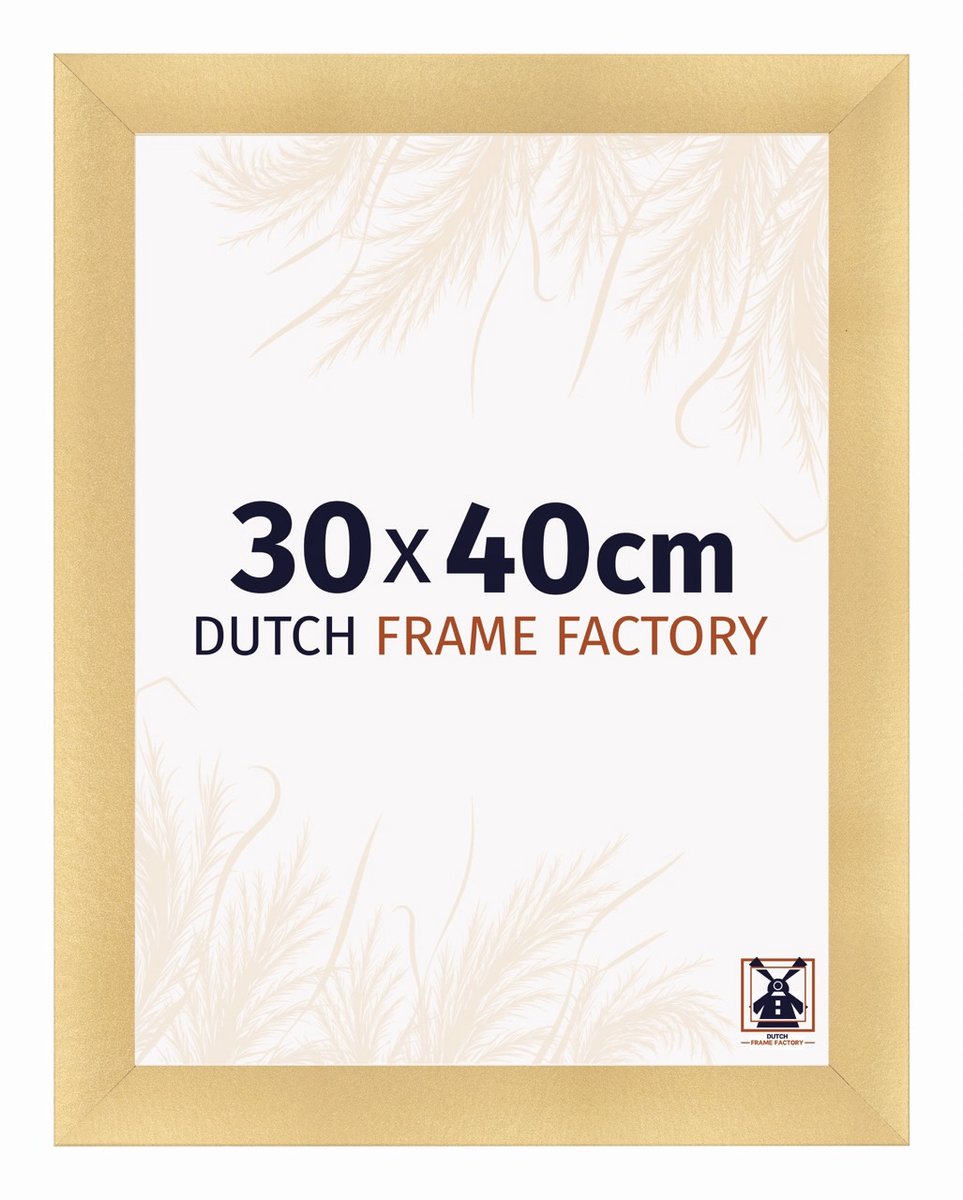 Dutch Frame Factory Fotolijst 30x40 cm - MDF - Goud Mat - Praag