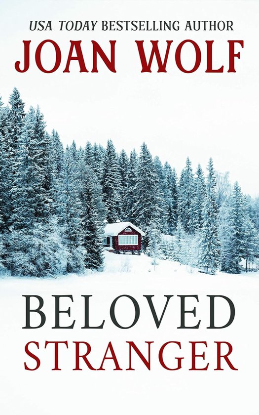 Beloved Stranger - cover