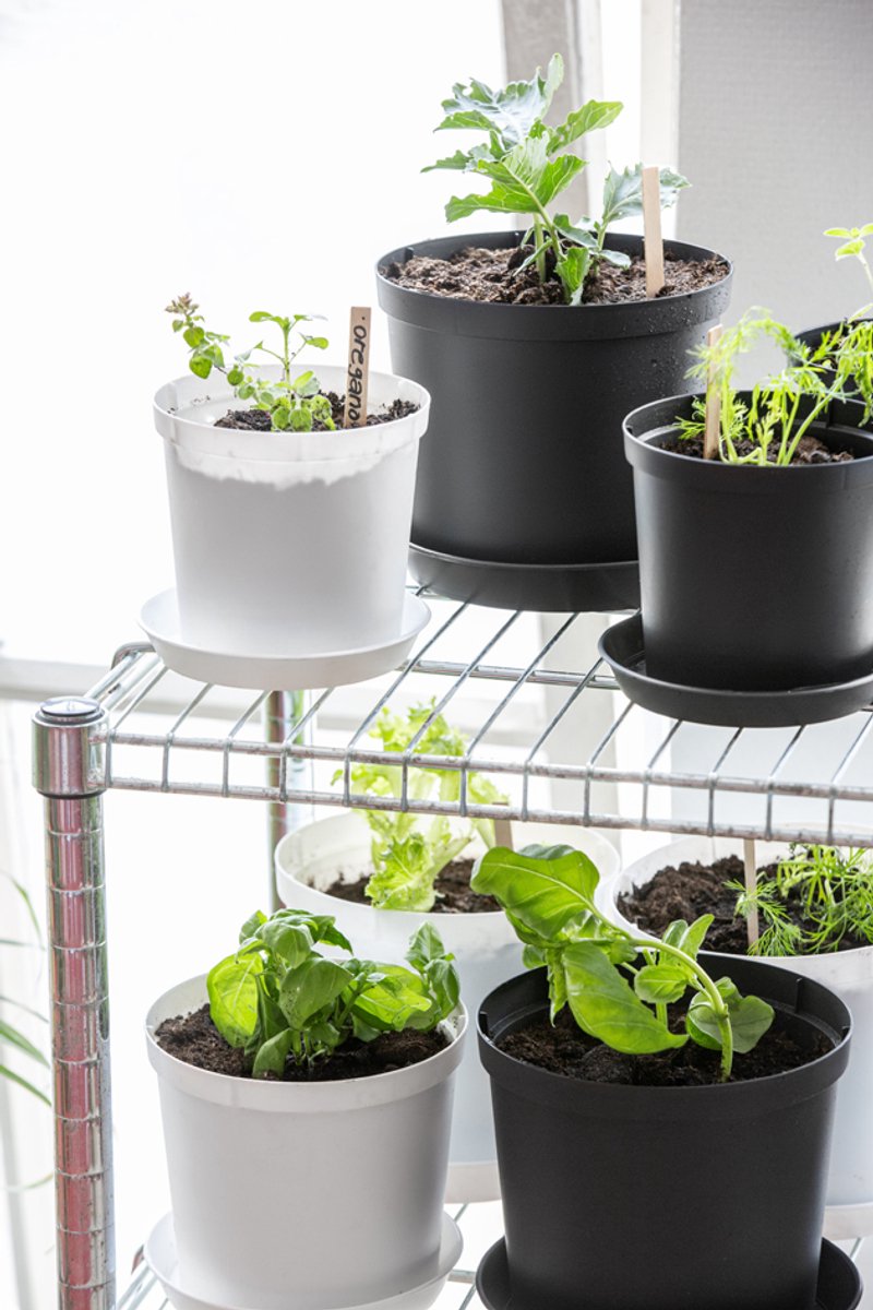 Bloempot Cultivate, diameter: 160 mm, grijs