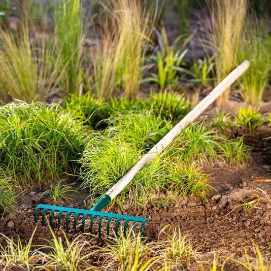 KADAX Hark van metaal, platte hark met steel van hout, bladbezem voor tuin, bloembed, bladbreken, gazonhark, groen, tuingereedschap, hooikoork, tuingereedschap, hark (14 tanden) van Merkloos	 — afbeelding 2