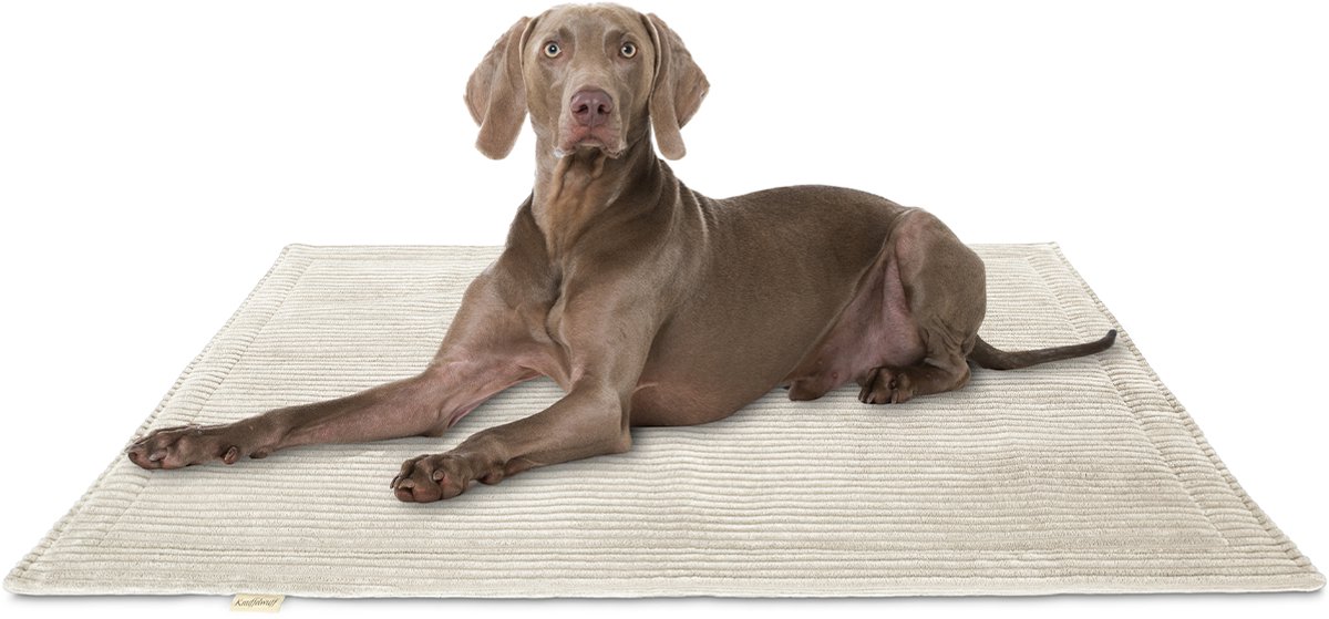 Knuffelwuff Cord Hondenkleed Timor 120x80cm Beige