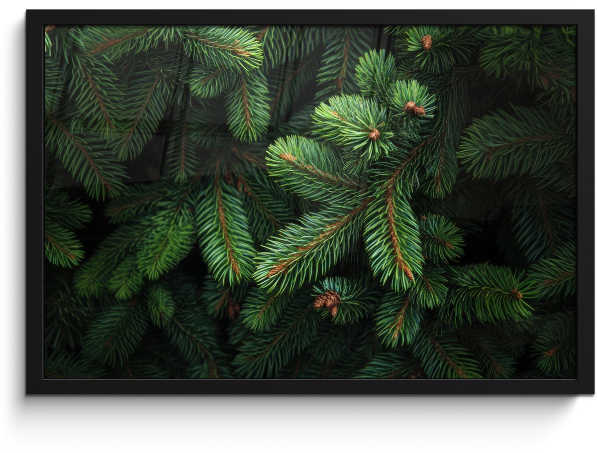 FrameYourWall Poster in lijst - Fotolijst 60x40 cm - Posters - Sparrentakken - Knoppen - Naalden - Groen - Posterlijst zwart - Decoratie - Wanddecoratie woonkamer - Muurdecoratie slaapkamer