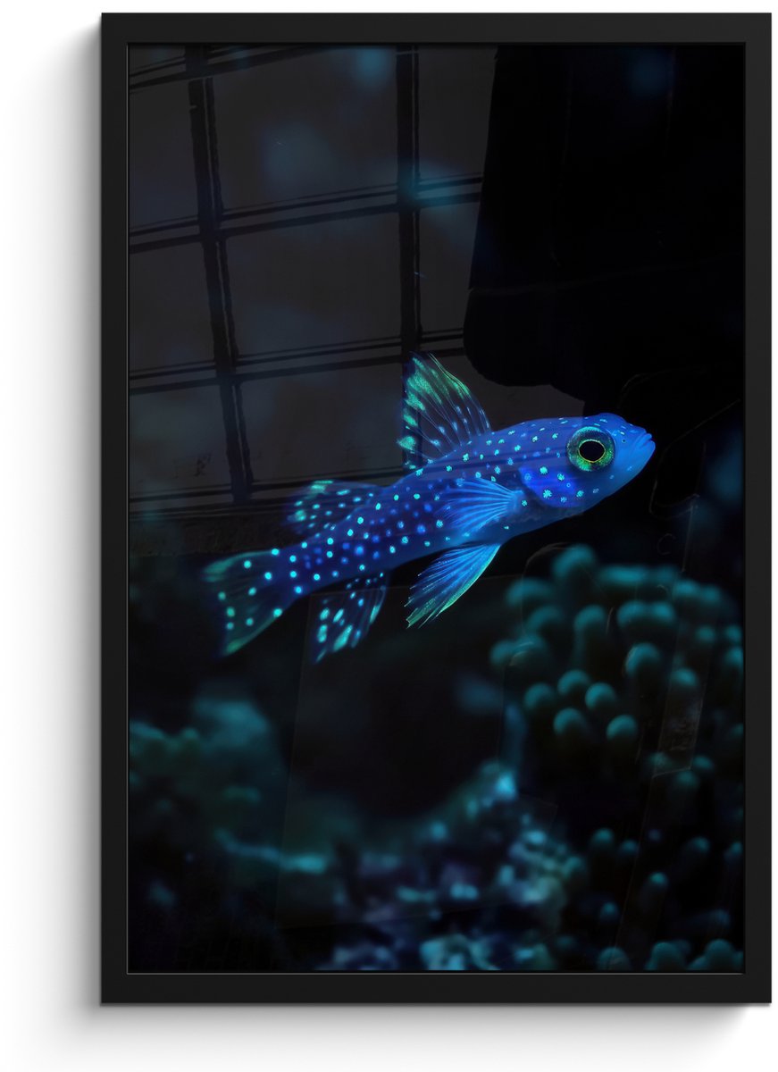 FrameYourWall Poster in lijst - Fotolijst 40x60 cm - Posters - Vis - Stippen - Koraal - Blauw - Posterlijst zwart - Decoratie - Wanddecoratie woonkamer - Muurdecoratie slaapkamer