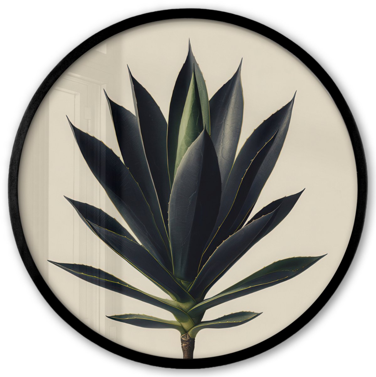 FrameYourWall Poster in lijst Rond - Fotolijst 40x40 cm - Posters - Agaveplant - Symmetrisch - Groen - Ronde posterlijst zwart - Decoratie - Wanddecoratie woonkamer - Muurdecoratie slaapkamer