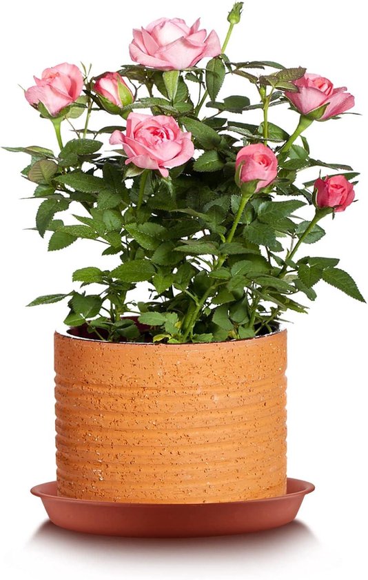 6 stuks plantenschotel, 22 cm plastic plantenbakken voor potten, zwaar belastbare bloempotten druppelbakken, ronde plantenwateropvangbak voor binnen