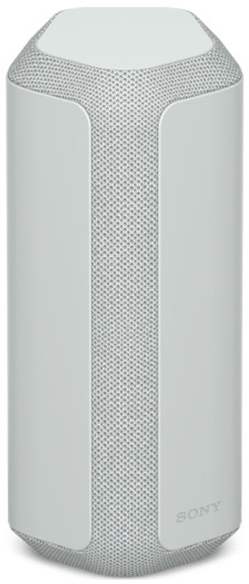 Sony SRS-XE300 Grijs