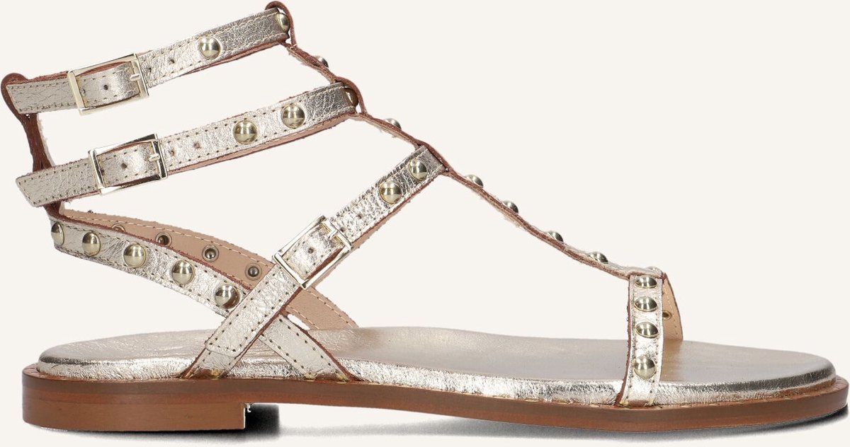 STEFANO LAURAN 24202 Sandalen Dames Goud