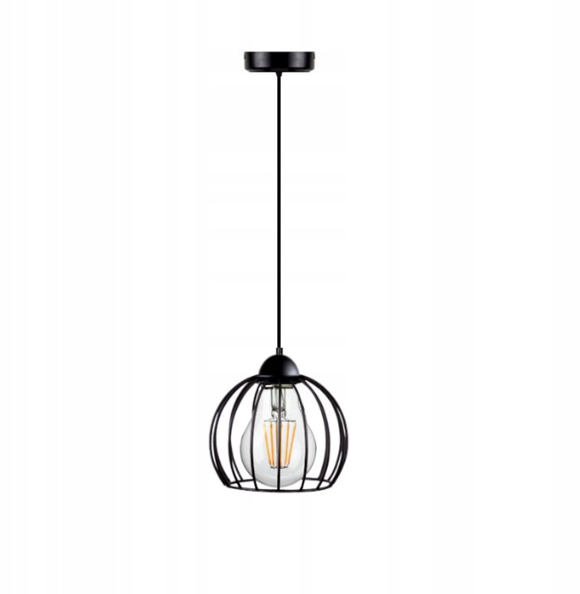 Zwart zwarte metalen hanglamp met draadkap, E27