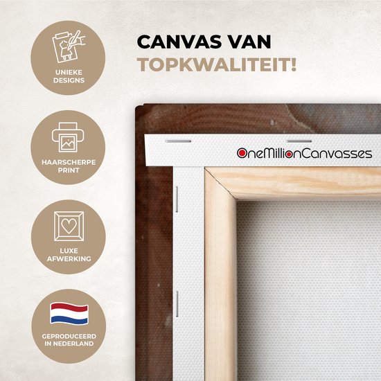 Detail van een canvas met de tekst 'Canvas van topkwaliteit!', 'Unieke Designs', 'Haarscherpe print', 'Luxe afwerking', 'Geproduceerd in Nederland'.