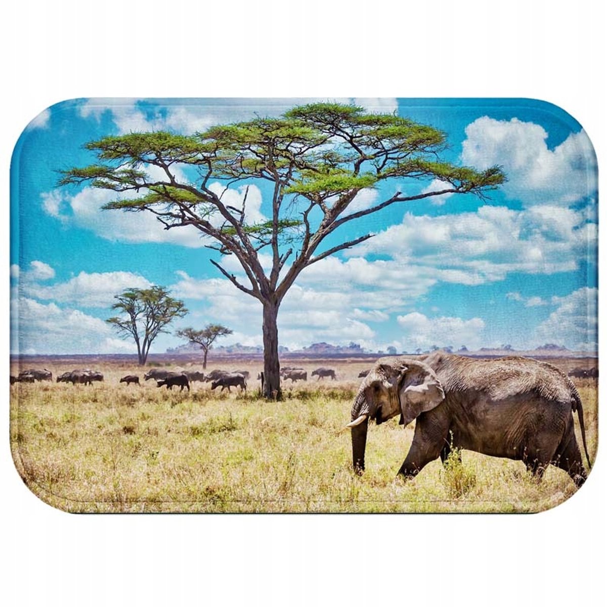 Zachte Antislip Badkamermat 60x40cm - Sneldrogend & Wasbaar