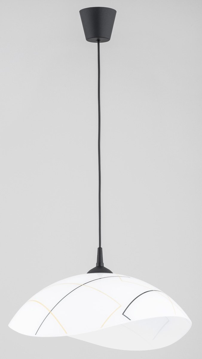 Hibiscus Hanglamp E27 Zwart Glas - 1 lichtpunt