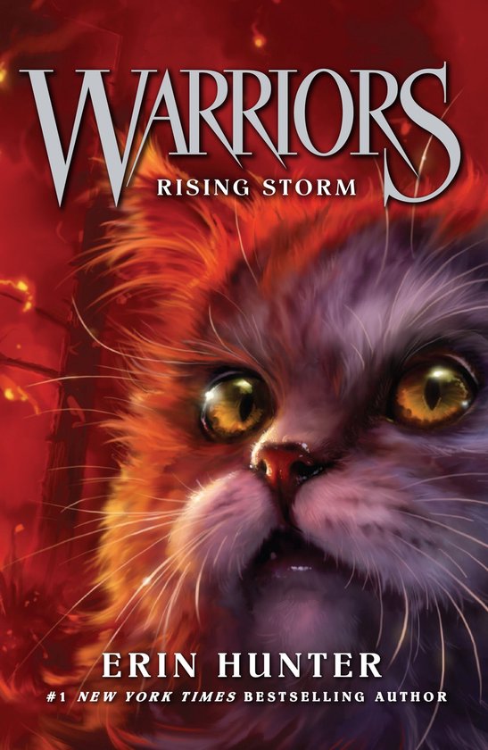 Warriors 4 - Rising Storm - cover