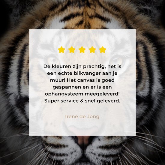 Toile - Tigre - Zwart - Animaux - Décoration murale - 90x60 cm - Peinture sur toile - Toile canvas