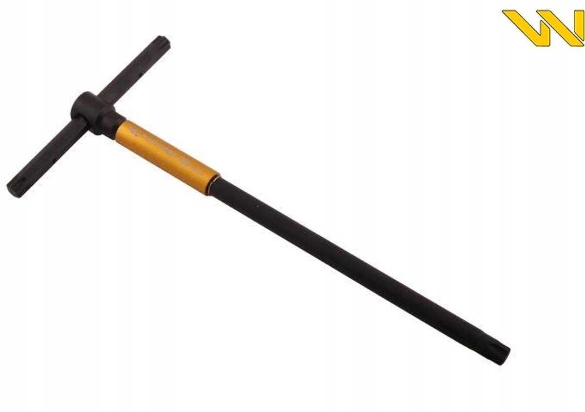 Waryński Torx T55 Spinnersleutel