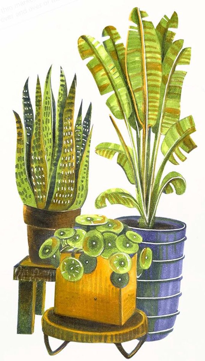 COPIC Ciao stiftenset Botanic met markerblok - 3 stuks