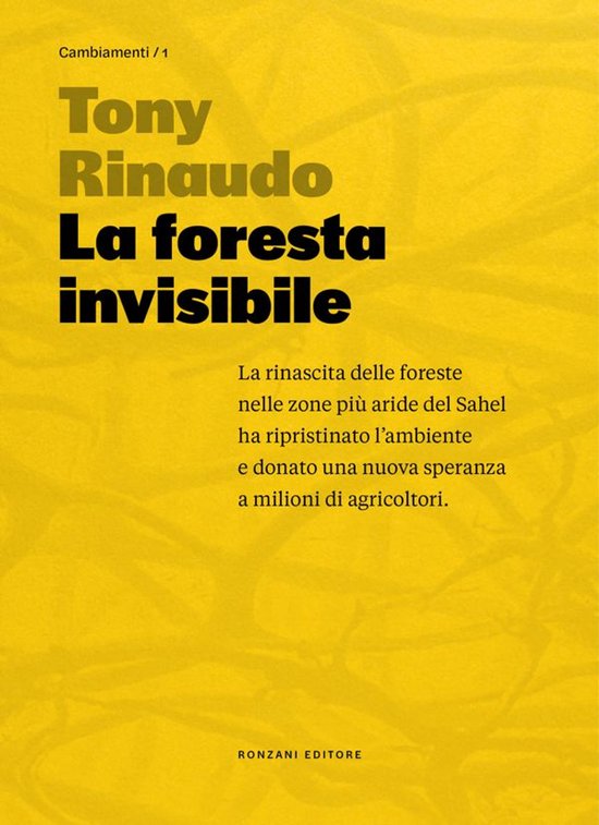 La foresta invisibile - cover