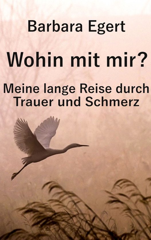 Wohin mit mir? Meine lange Reise durch Trauer und Schmerz - cover
