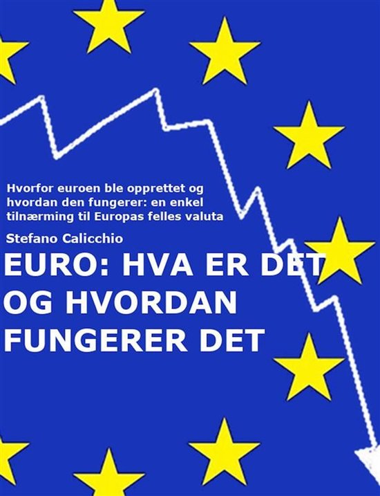 EURO: Hva er det og hvordan fungerer den - cover